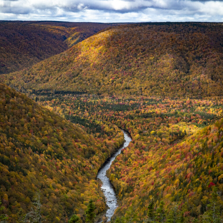 Cape Clear 4x5 small