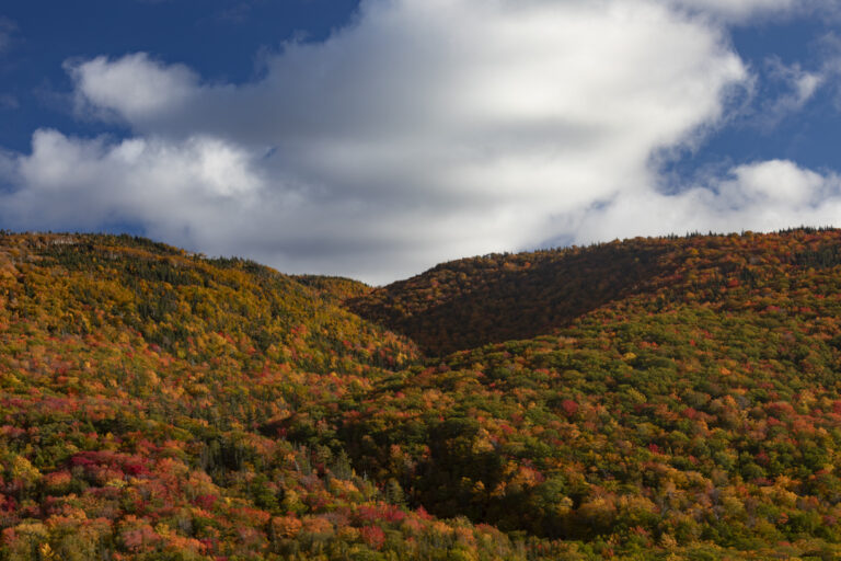 _L0A8738-Enhanced-NR